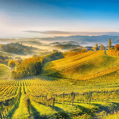 Stranded in Provence Mysteries - Paperbacks