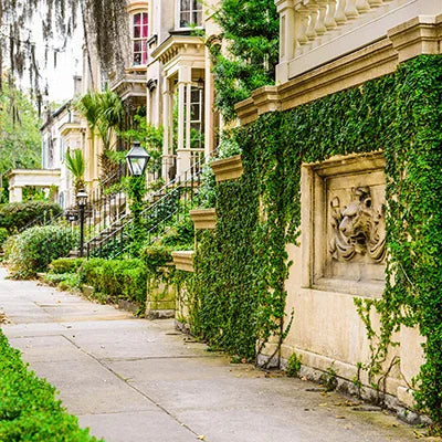 Savannah Time Travel Mysteries - Paperbacks