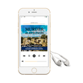 Murder in Avignon (audiobook)