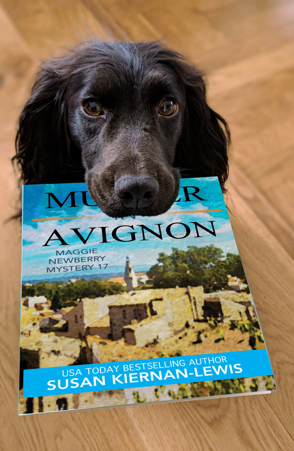 Murder in Avignon (paperback)