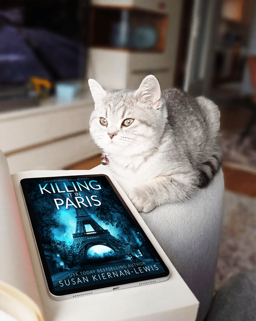 Killing it in Paris (ebook)