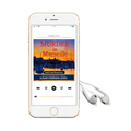 Murder in Marseille (audiobook)