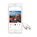 A Thanksgiving in Provence (audiobook)