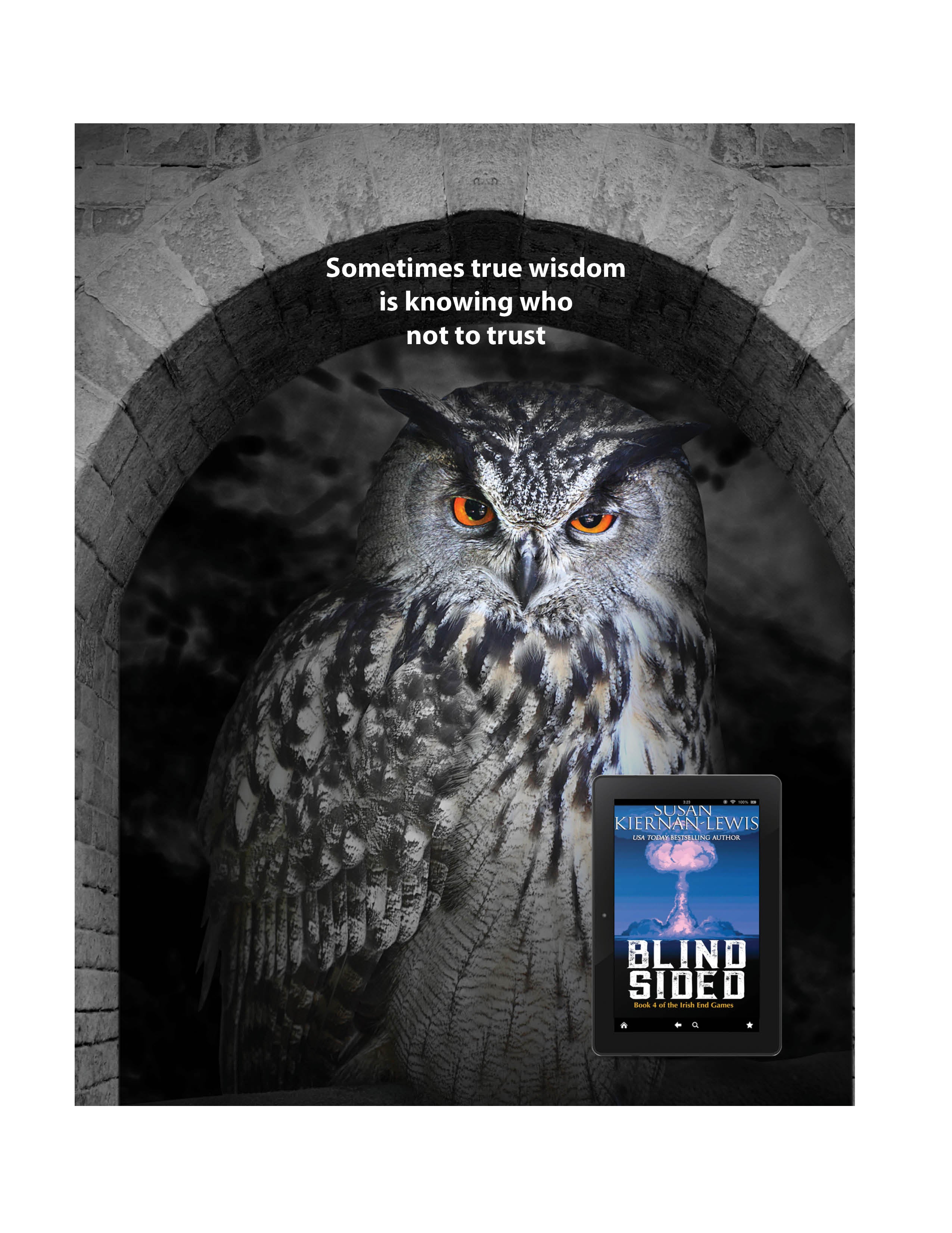 Blind Sided (ebook)