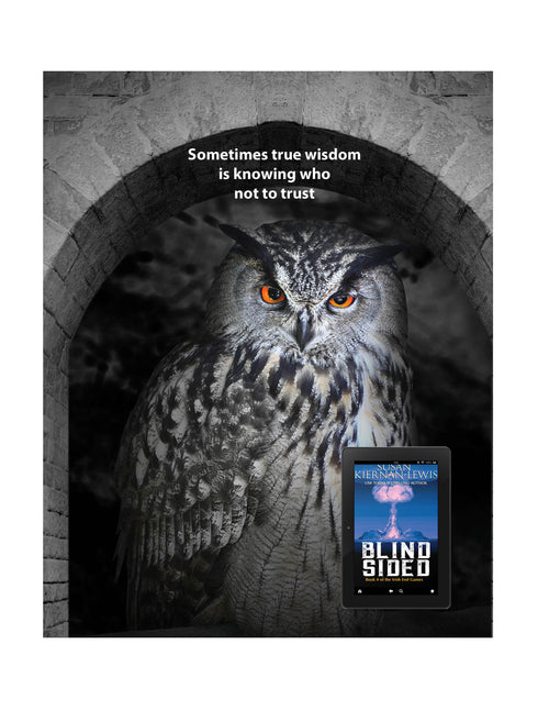 Blind Sided (ebook)