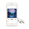 Murder in the Christmas Market (audiobook)